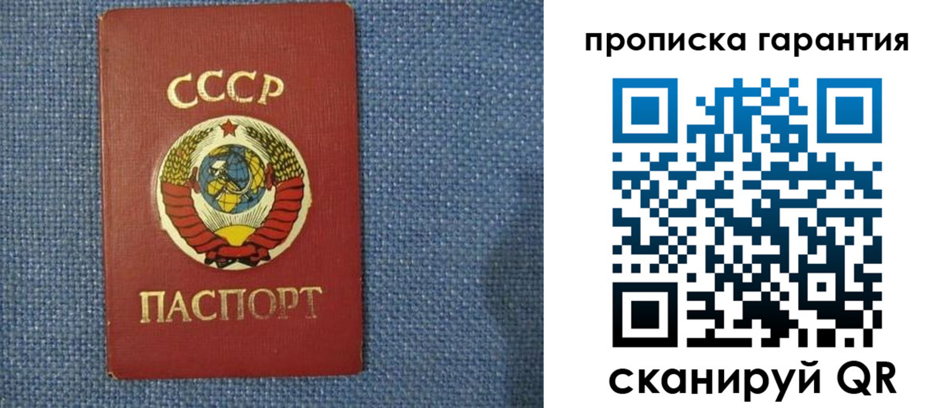 прописка 2025 в Димитровграде